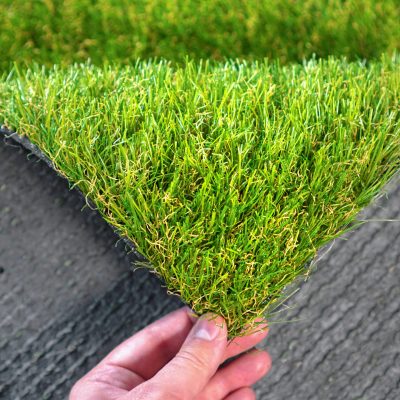 shutterstock_1581952276